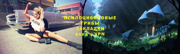 бошки Баксан