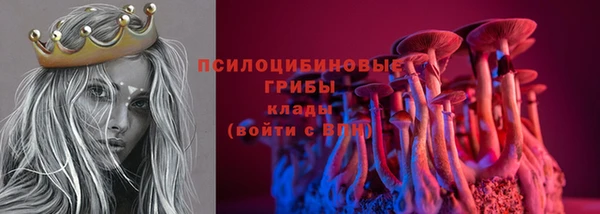 эйфоретик Аркадак