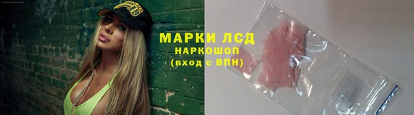 эйфоретик Аркадак
